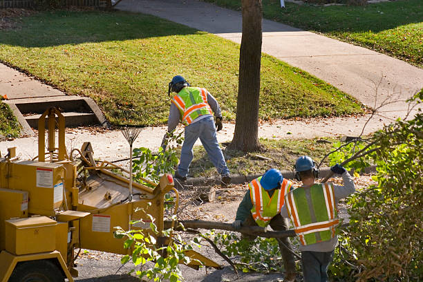 Best Lawn Pest Prevention  in Waterloo, IA